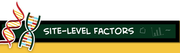 google ranking site level factors title